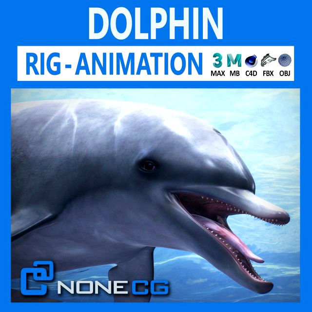 animated bottlenose dolphin