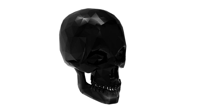 Human skull