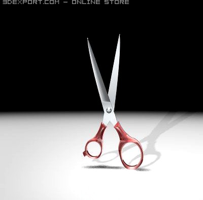 Scissors 3D Model