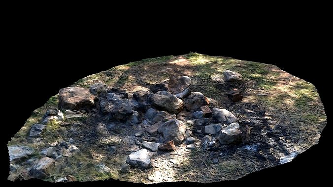 3D Campfire Photogrammetry Scan model