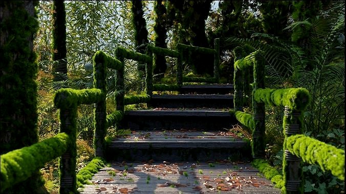 Forest corridor