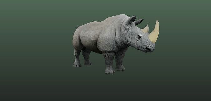Rhino Hybrid Game