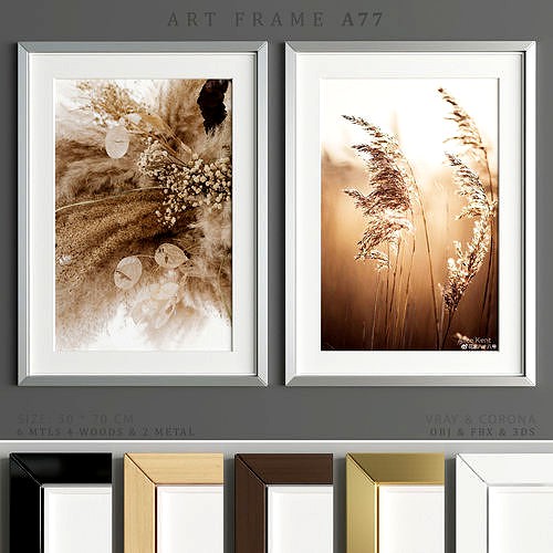 Art Frame A77