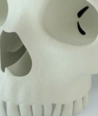 Humans Skull 3D Model