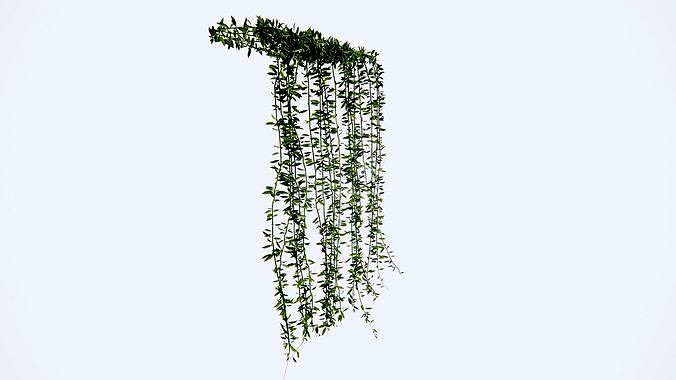 li kuan yu lee kwan yew 3d model plant