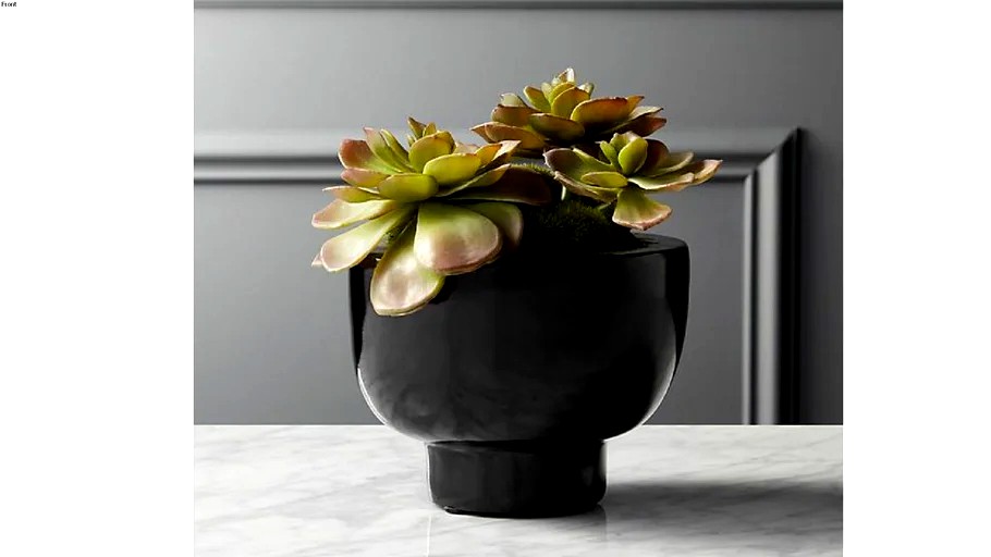 Cachepot com suculenta
