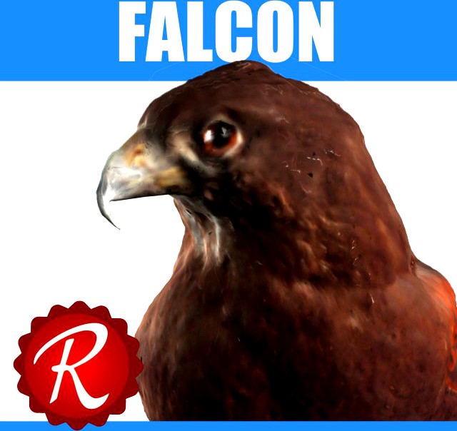 Falcon 3D Model