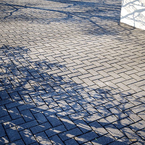 Scanned Herringbone Pavement- 2x2