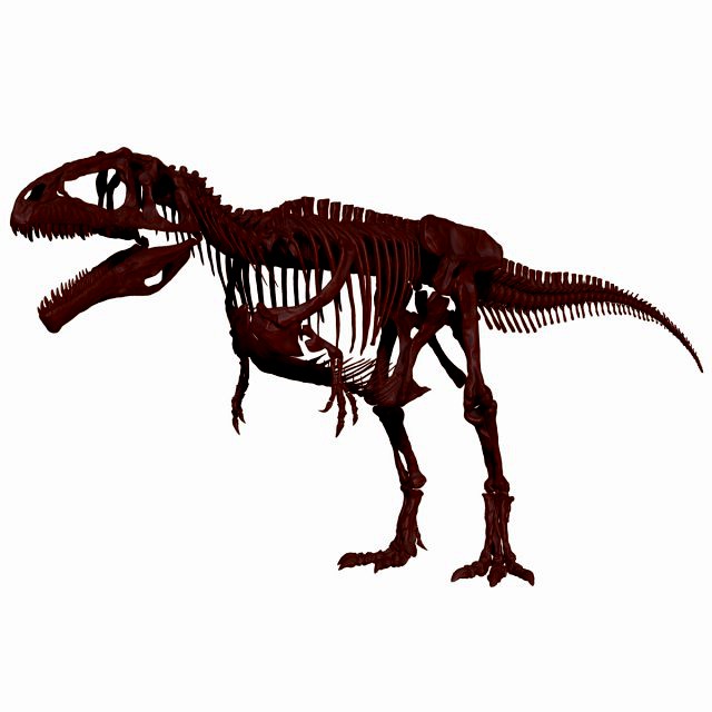 giganotosaururs full skeletons sculpt project