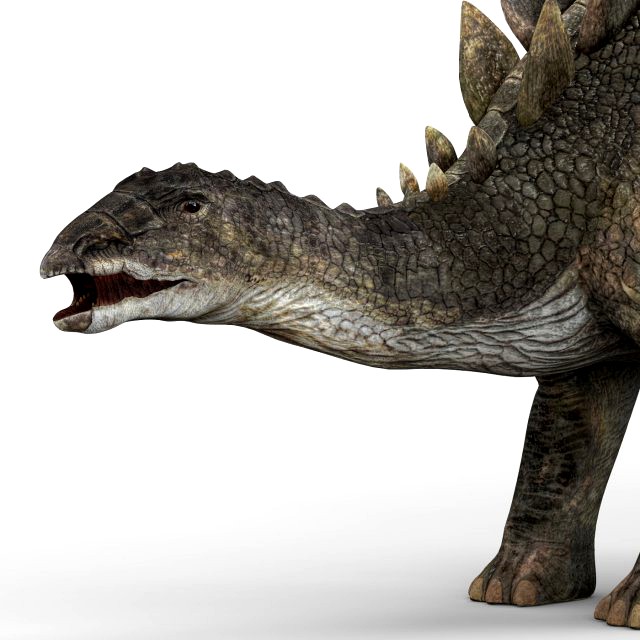 stegosaurus dinosaur