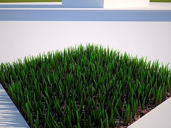 3D Grass Textured for Lawn Turf Yard Backyard 3D Model