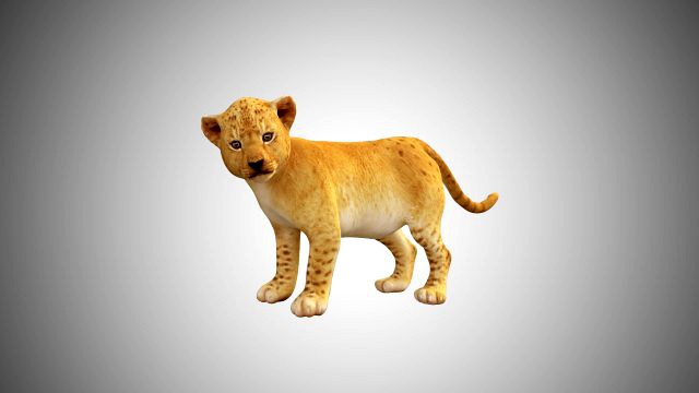 lion cub baby low poly rigged