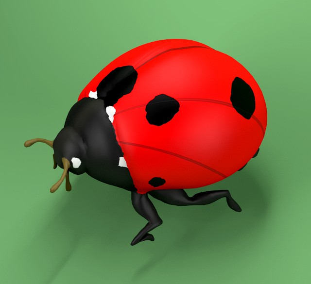 ladybug coccinellidae lowpoly