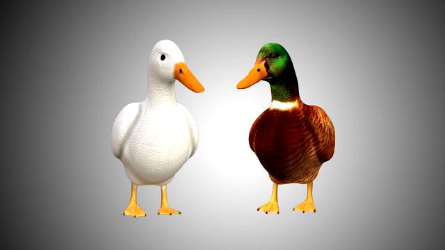 duck collection rigged and low poly