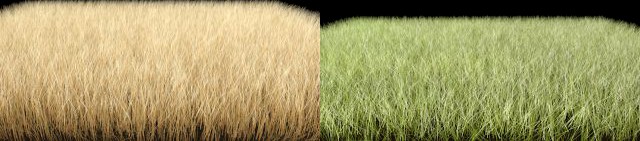 Dynamic Grass Pack 3D Model