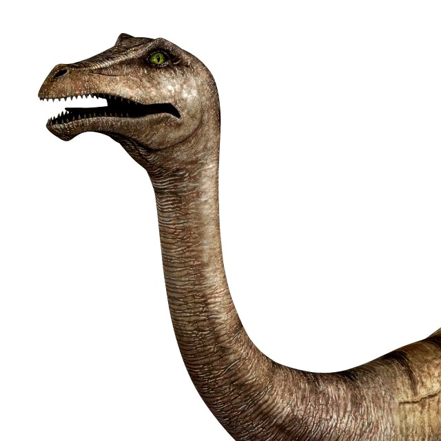 gallimimus dinosaur