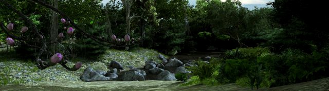 mountain forest