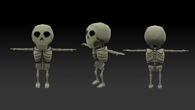 mini skeleton