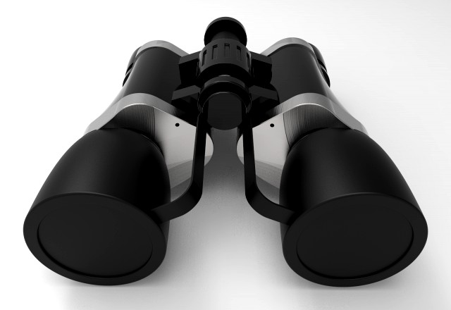 binocular with lens plugs