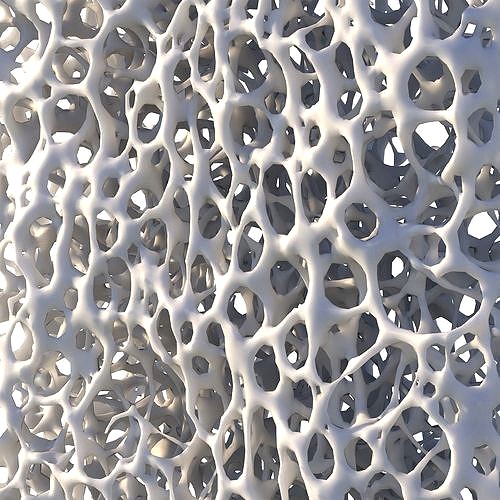 Bone Structure Sponge