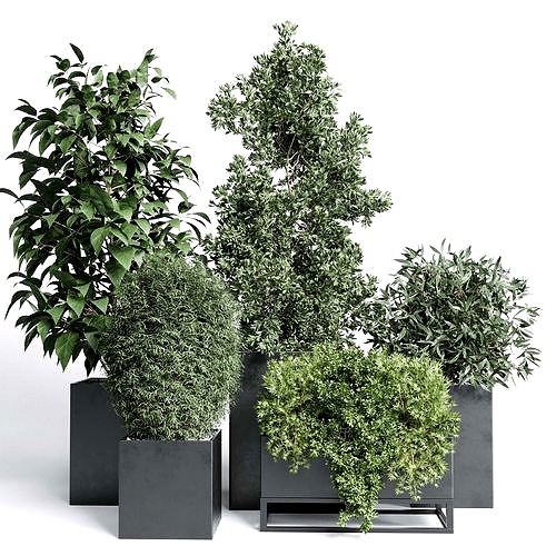 Outdoor plant Collection 113 stand plant box