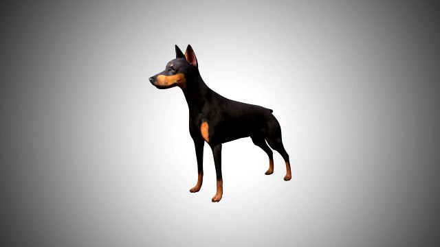 3d realistic low poly rigged doberman
