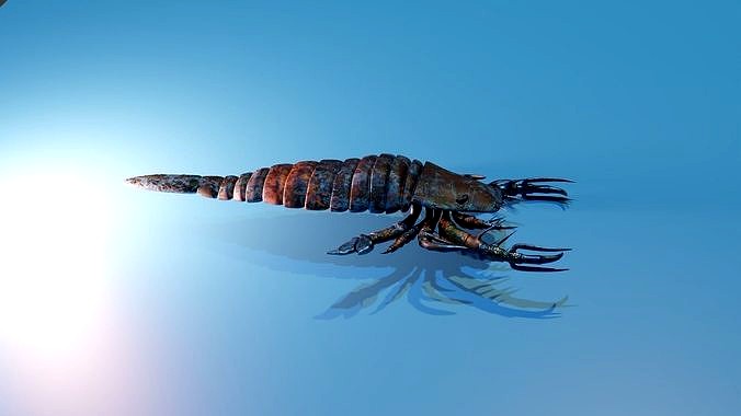 Pentecopterus 3d model