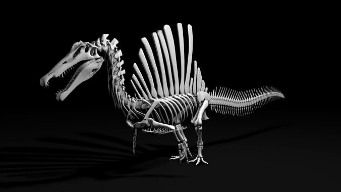 Spinosaurus aegyptiacus skeleton