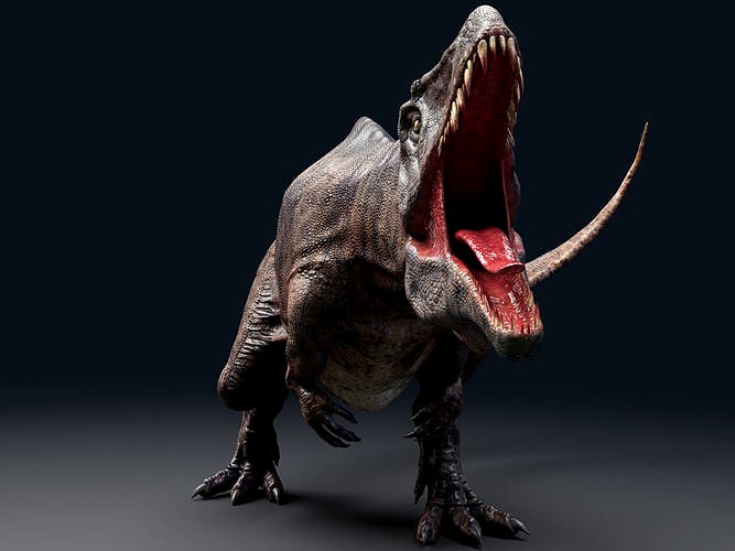 Acrocanthosaurus  Real Dinosaurs Series
