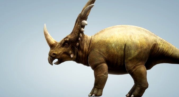 Styracosaurus with animation