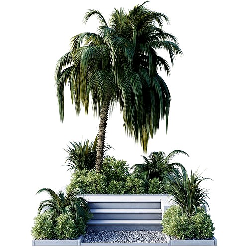 Concrete stair garden with palm trees shrubs and grass set 112