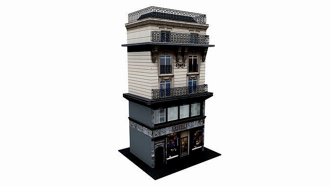 Typical Parisian Apartment 3d Building 01