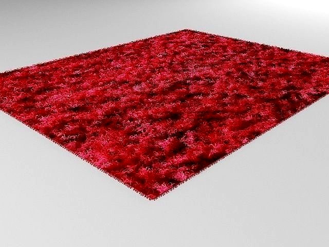 Shag rug
