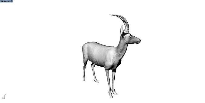 antelope ram animal sculpture | 3D