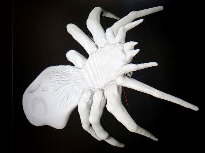 Skull Spider | 3D