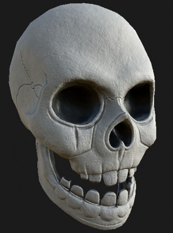 human skull