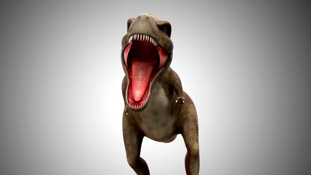giganotosaurus dinosaur low poly game ready rigged
