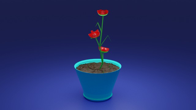 transparent red flower