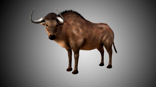 low poly rigged buffalo-bull