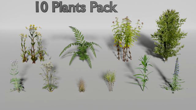 small plants pack