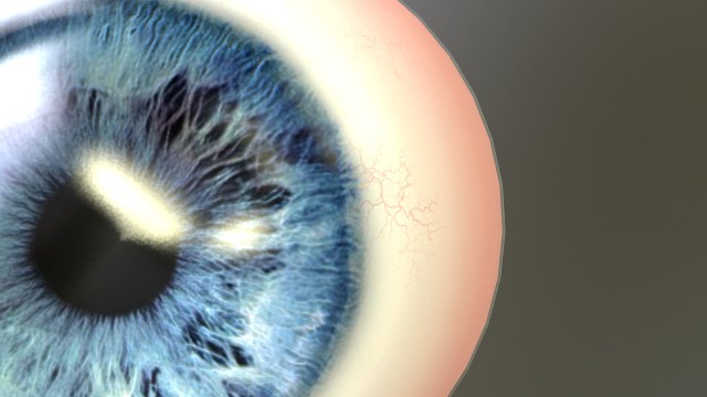 eye - character