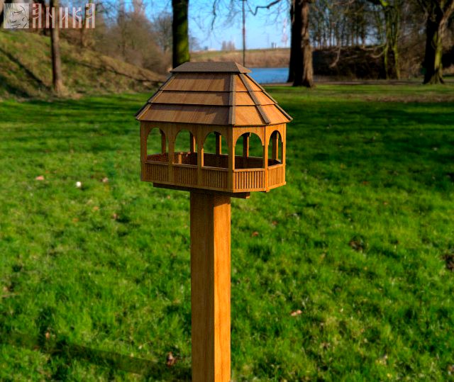 bird feeder