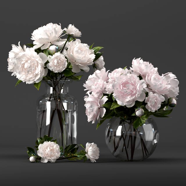 bouquet of white and pink peony
