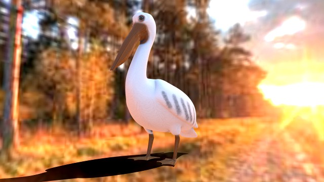 realistic pelican