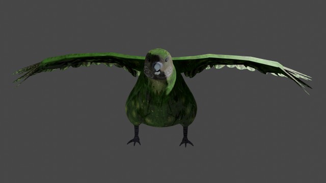 kakapo