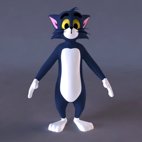 tom 3d character