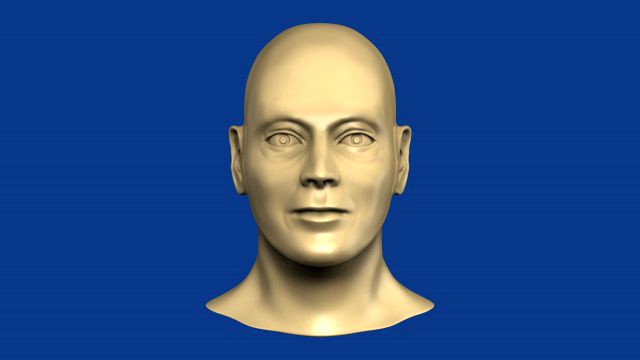 male head