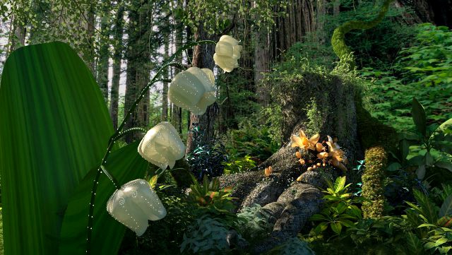 rainforest
