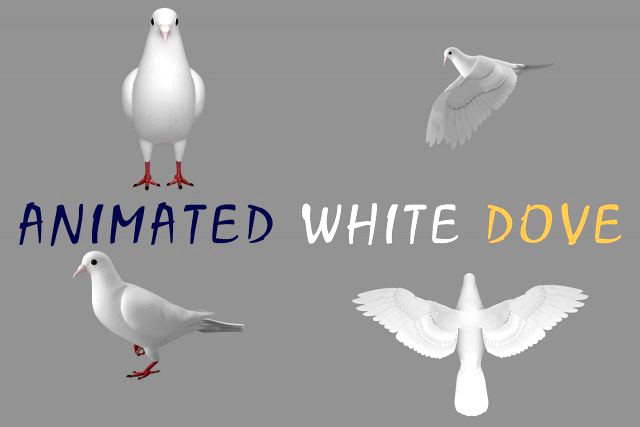 realistic animated white dove low-poly