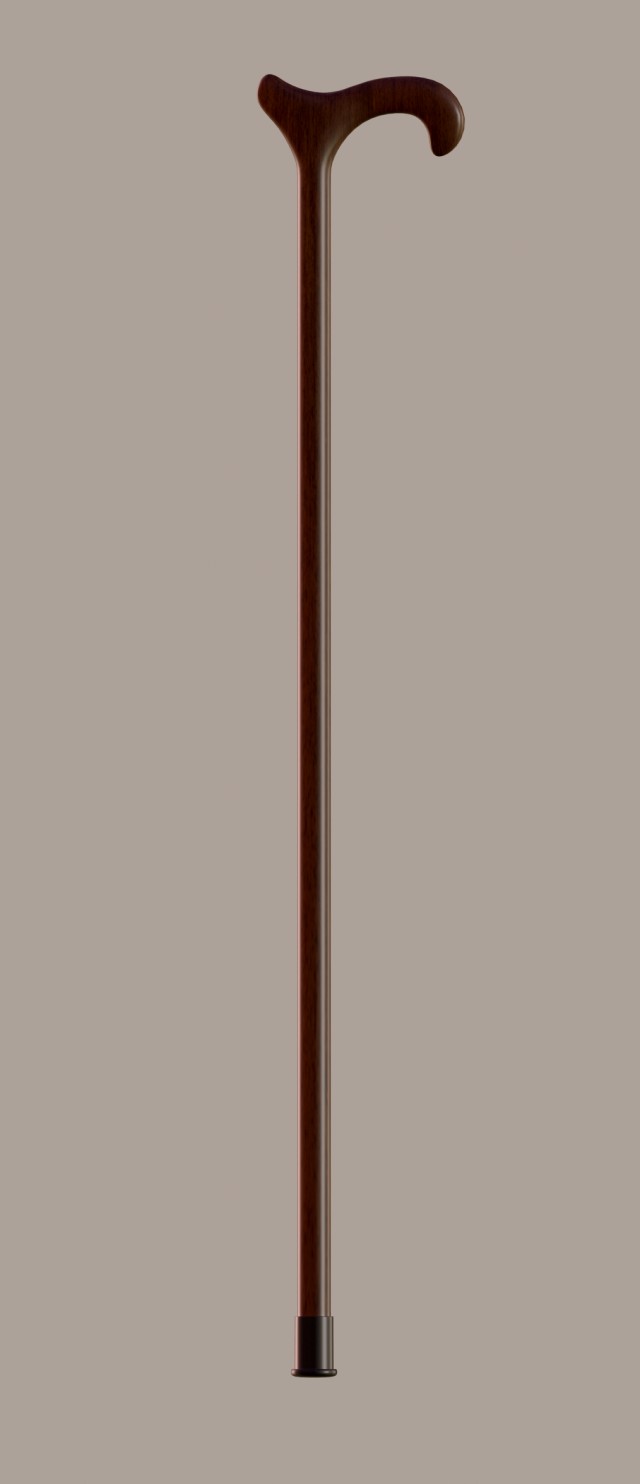 walking stick